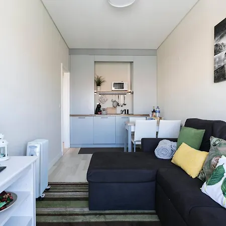 Santa Catarina Cozy Nest - Downtown *